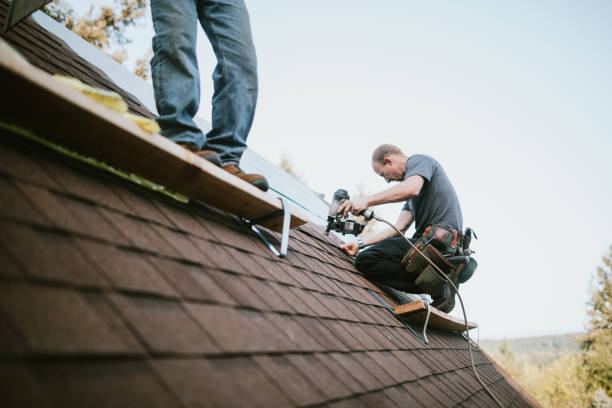Best Storm Damage Roof Repair  in Bartonvle, IL